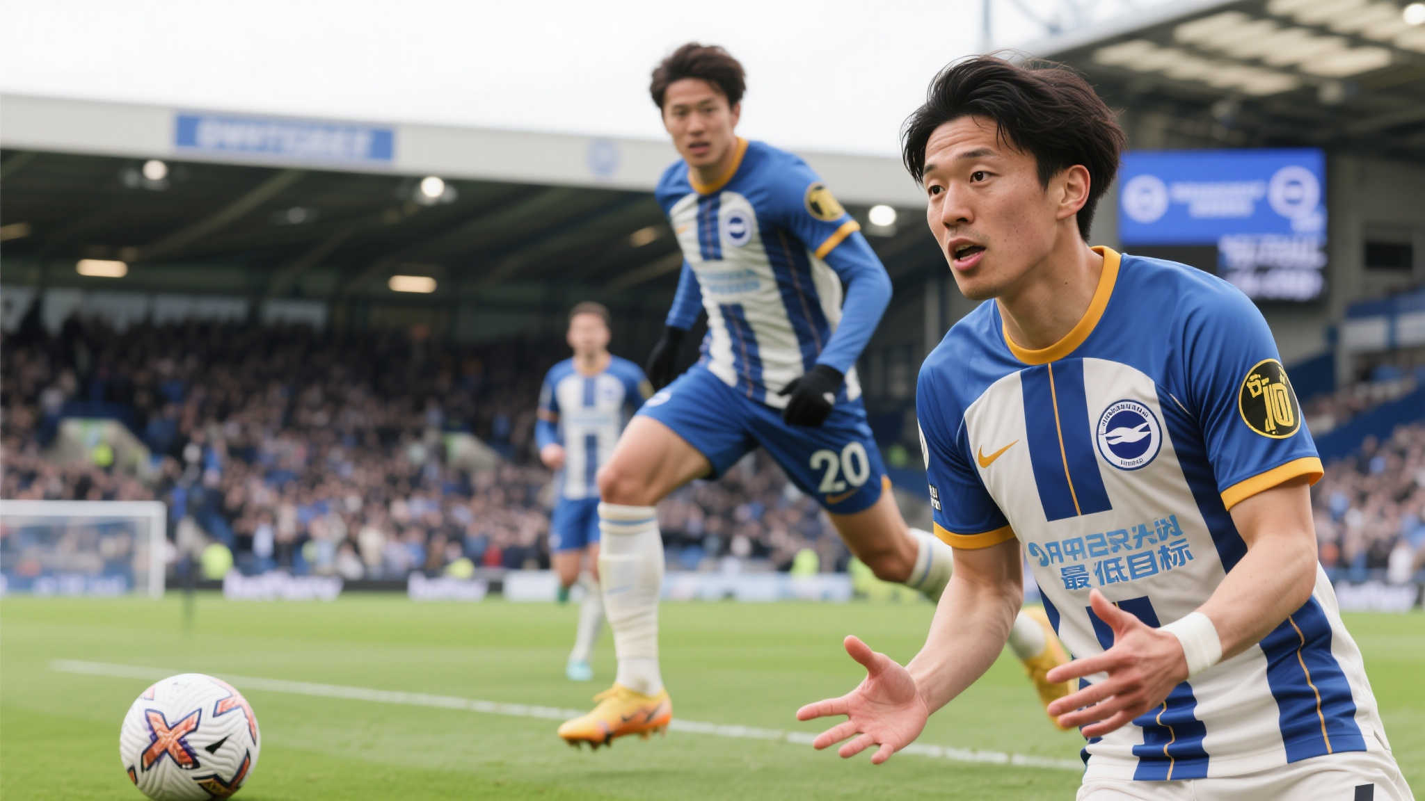 赛事的参与 赛事的参与